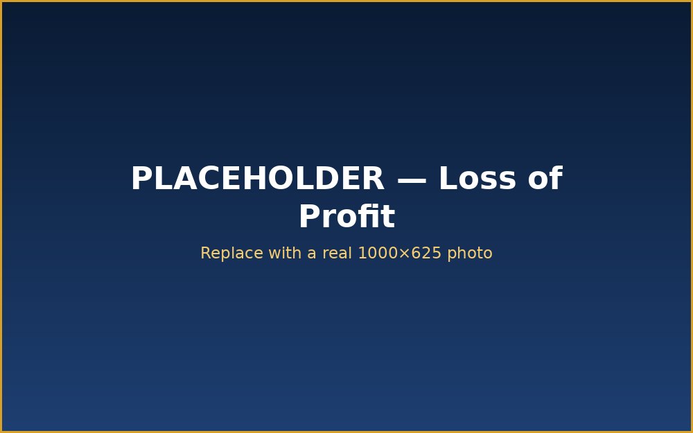 Business interruption and Loss of Profit assessment